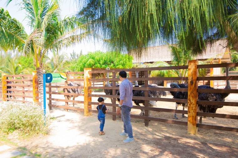 FLC Hotels & Resorts: Hành trình 'nắm tay con đi khắp muôn nơi' ảnh 3