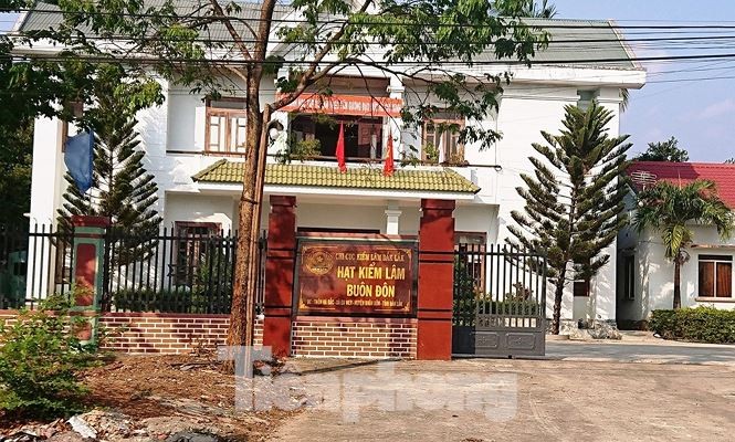 Hàng loạt cán bộ nhúng chàm vụ trùm gỗ lậu Phượng 'râu' ảnh 2