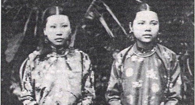 Cung phi được tuyển về cung để...?