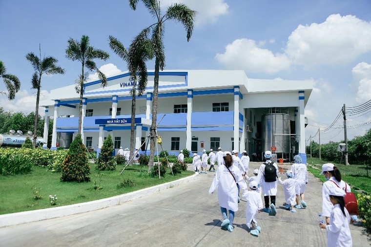 Vinamilk tổ chức cho con em nhân viên thăm Resort Bò sữa ảnh 8