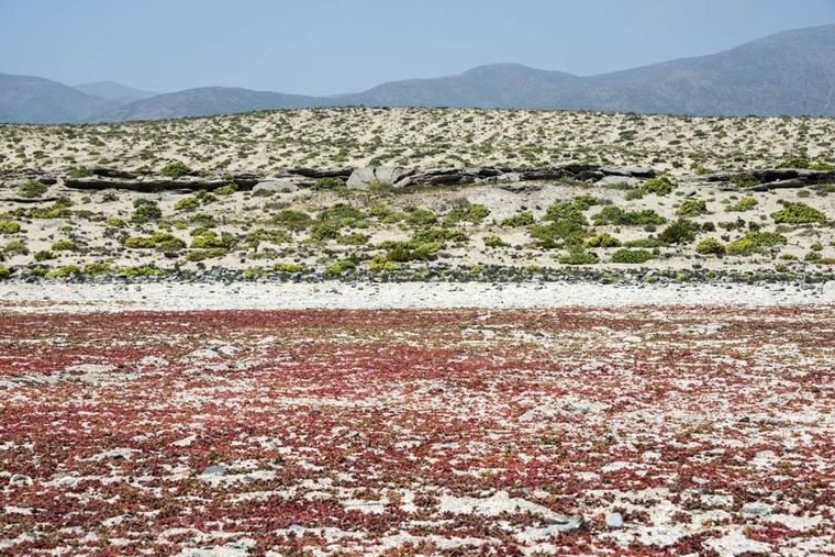 Cực quang và những hiện tượng tự nhiên đầy màu sắc ảnh 7