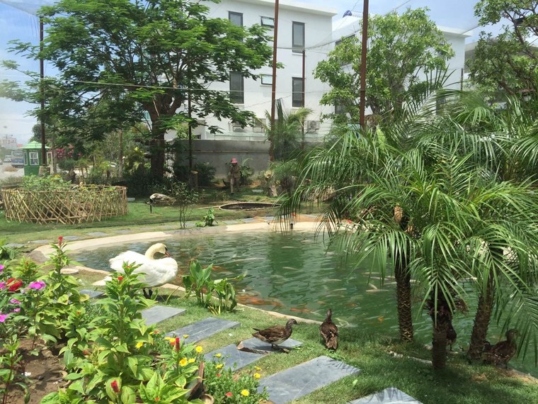 6 trải nghiệm đẳng cấp nhất định phải thử khi đến FLC Sầm Sơn ảnh 6