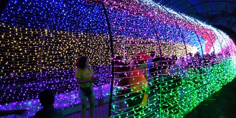 Lễ hội ánh sáng đầu tiên tại Quy Nhơn thu hút hàng vạn du khách ảnh 2