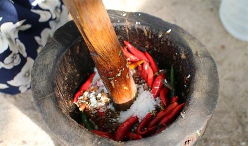 Công đoạn tiếp theo sau khi đã tìm thấy con kiến và trứng kiến là gì?