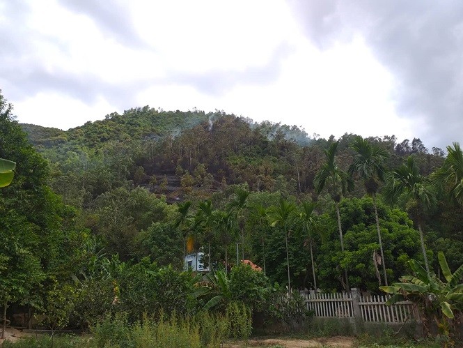 Cháy rừng ở Đà Nẵng được khống chế sau gần 3 giờ bốc lửa ảnh 2