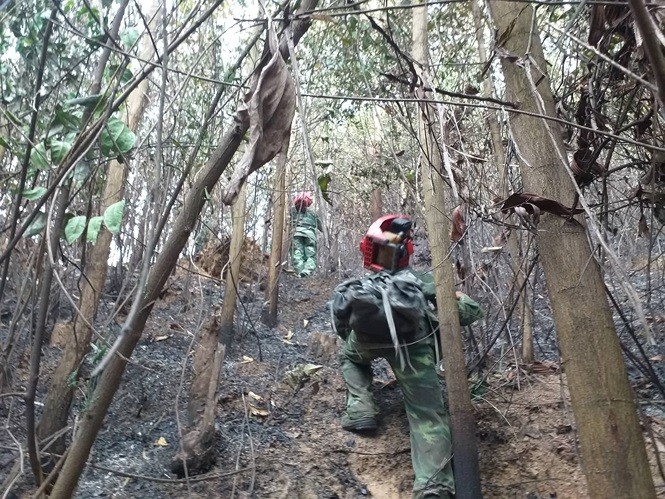 Cháy rừng ở Đà Nẵng được khống chế sau gần 3 giờ bốc lửa ảnh 1