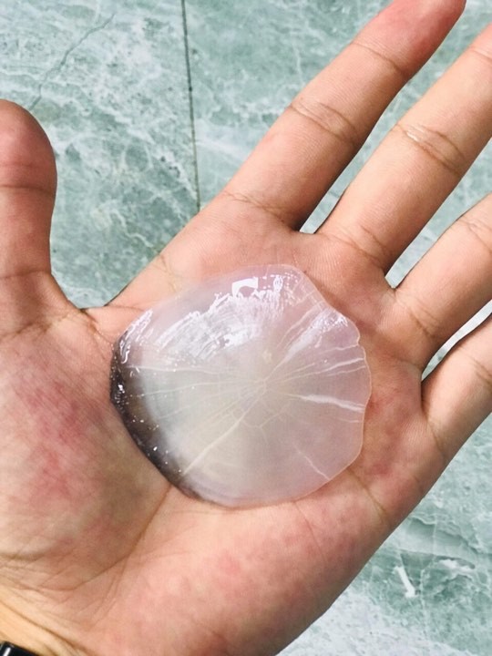 Cận cảnh con cá trắm đen dài 1,5m, nặng 50kg mắc lưới ngư dân ở Yên Bái ảnh 1