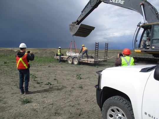 Tìm đá quý, đào trúng… quái vật ảnh 2