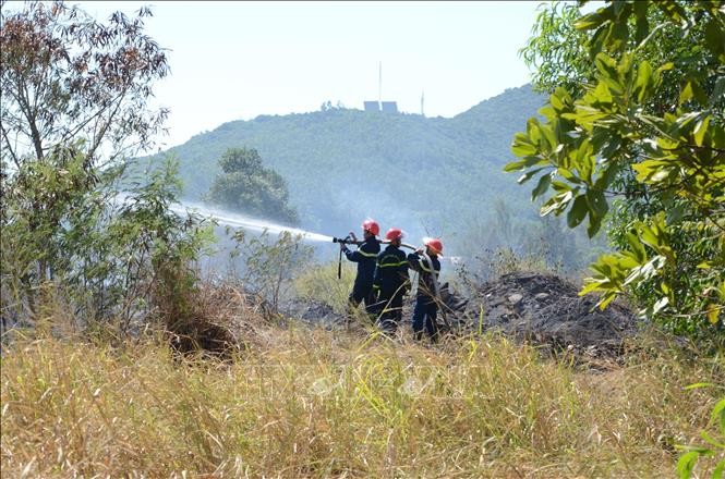 Kịp thời dập tắt vụ cháy rừng trên núi Sơn Trà, Đà Nẵng ảnh 1
