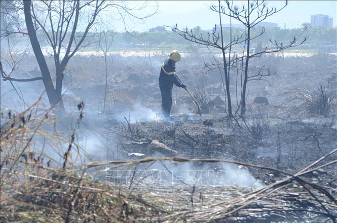 Kịp thời dập tắt vụ cháy rừng trên núi Sơn Trà, Đà Nẵng ảnh 2