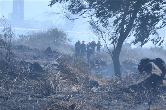 Kịp thời dập tắt vụ cháy rừng trên núi Sơn Trà, Đà Nẵng ảnh 3