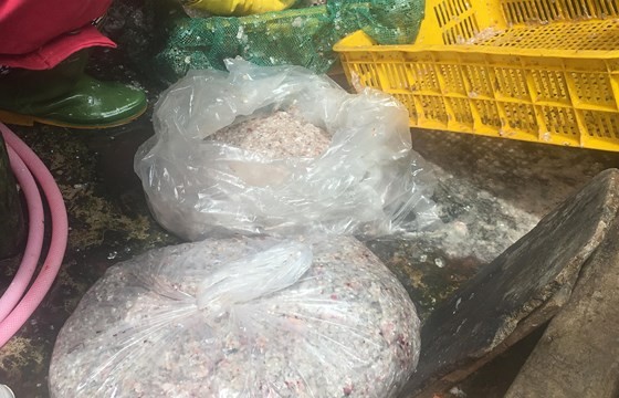 Chưa rõ mục đích thương lái ồ ạt mua vảy cá tại Đồng Tháp ảnh 2