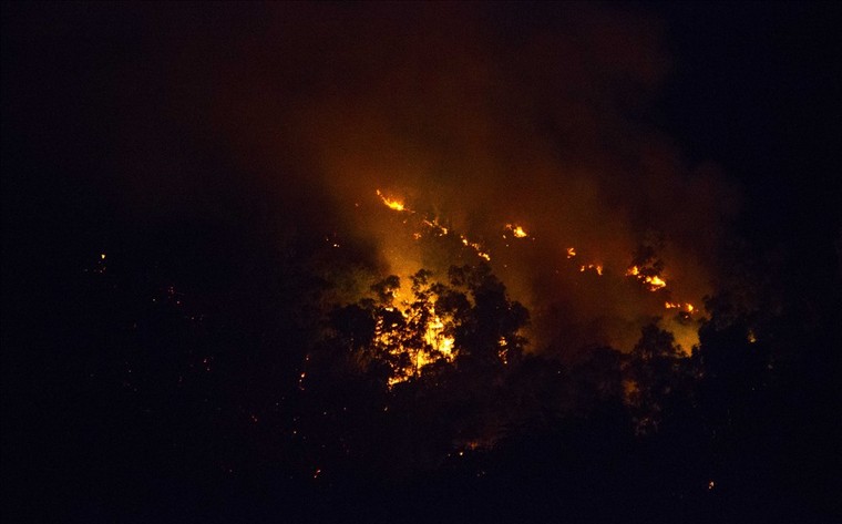 Rừng phòng hộ ở Bình Định bất ngờ bốc cháy ảnh 1