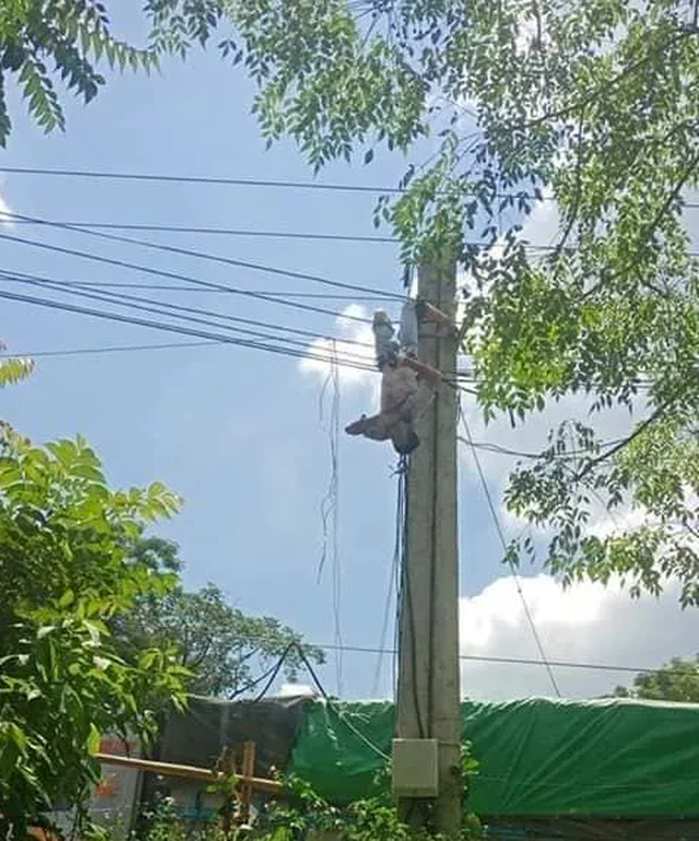 ‘Giải cứu’ xe tải vướng dây điện, tài xế bị điện giật trọng thương ảnh 1