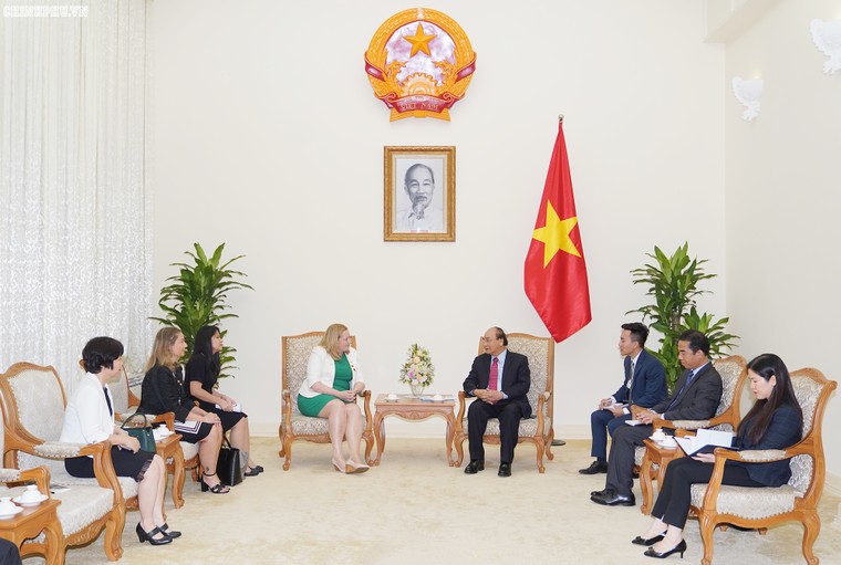 Thủ tướng tiếp Đại sứ Ireland ảnh 1