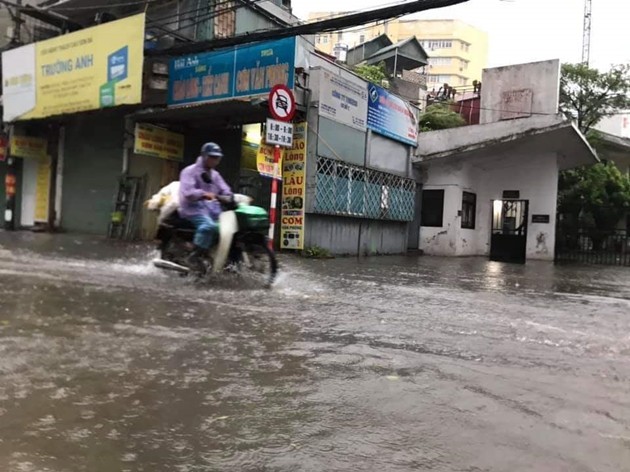 Hà Nội ngổn ngang cây gẫy đổ sau bão số 3 ảnh 6