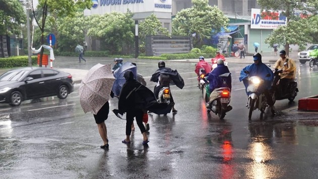 Hà Nội ngổn ngang cây gẫy đổ sau bão số 3 ảnh 7