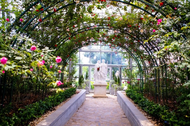 Vượt biển khám phá Vương quốc hoa hồng - Trải nghiệm mới cực ngọt ngào tại Nha Trang ảnh 13