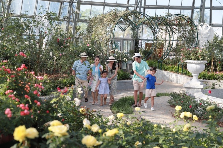 Vượt biển khám phá Vương quốc hoa hồng - Trải nghiệm mới cực ngọt ngào tại Nha Trang ảnh 17