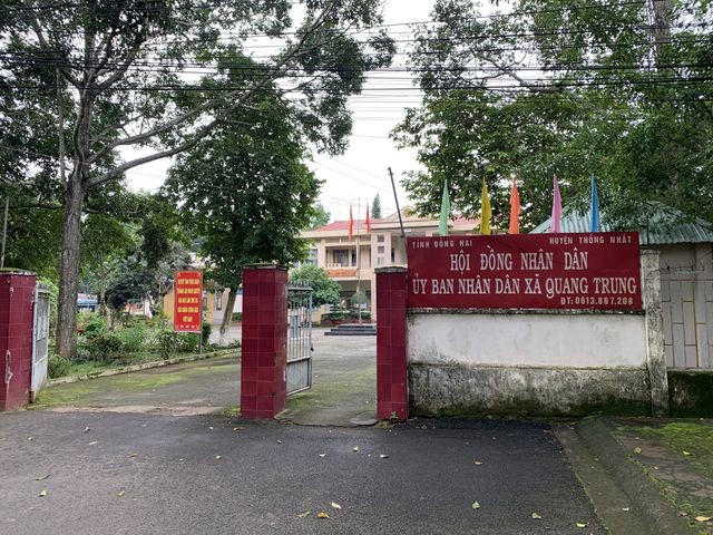 Đàn heo nhiễm dịch tả lợn châu Phi bất ngờ hết bệnh nhờ... ăn bã rượu ảnh 2