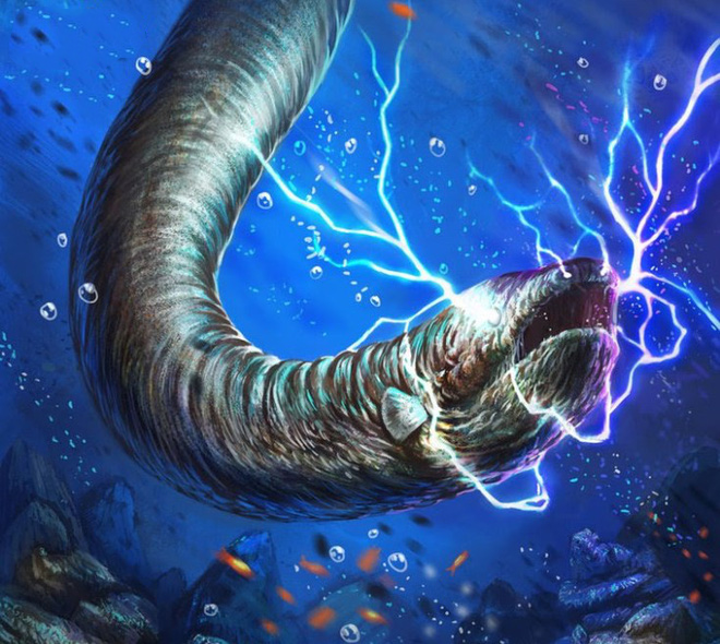 Loài lươn có thể phát ra dòng điện mạnh gây chết người tên là gì?