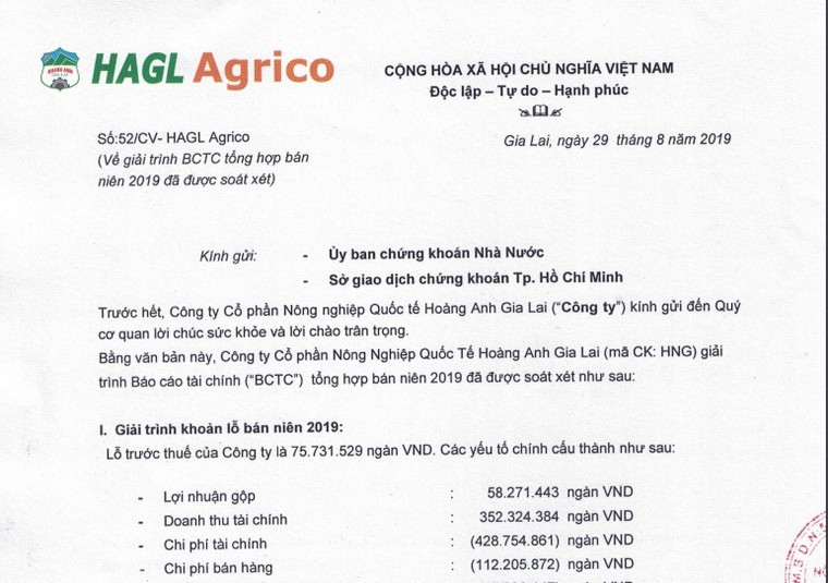 Vừa bán tài sản nghìn tỷ, công ty bầu Đức lại báo lỗ ảnh 1