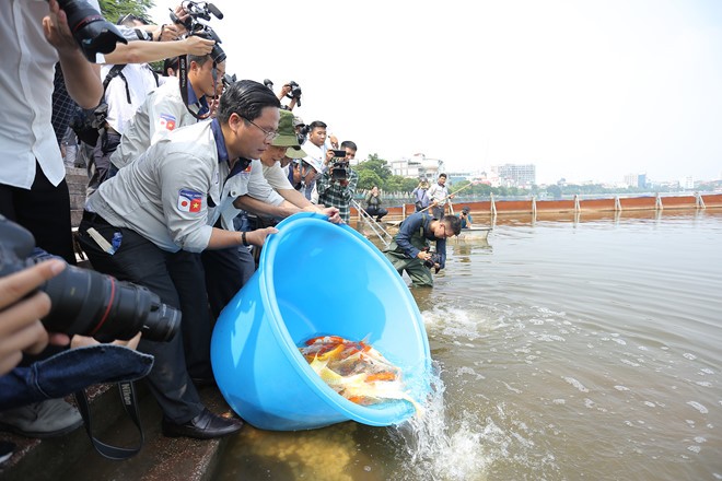 Thả 100 con cá Koi xuống sông Tô Lịch và Hồ Tây để chứng minh nước sạch ảnh 3