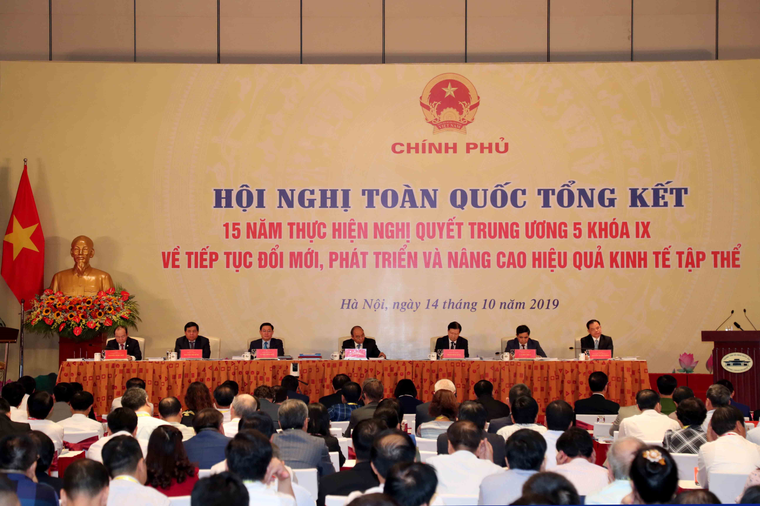 Sức sống mạnh mẽ từ những mô hình hợp tác xã kiểu mới ảnh 1