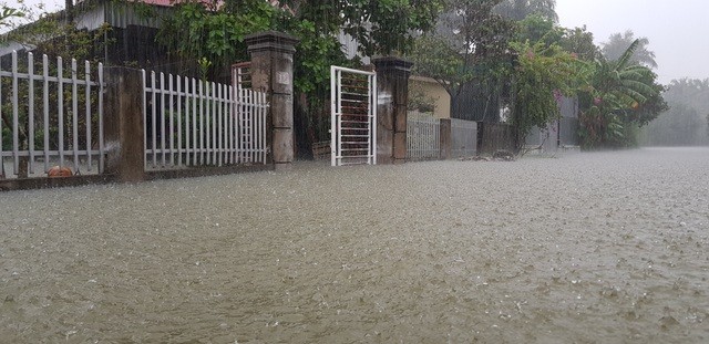 Mưa lớn kéo dài, thành phố Vinh chìm trong biển nước ảnh 5