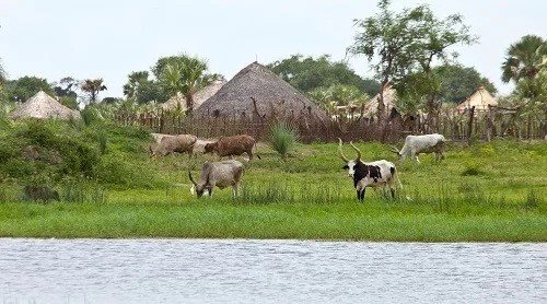 Màu xanh trên quốc kỳ Nam Sudan tượng trưng cho dòng sông chảy qua quốc gia này. Đó là sông nào?