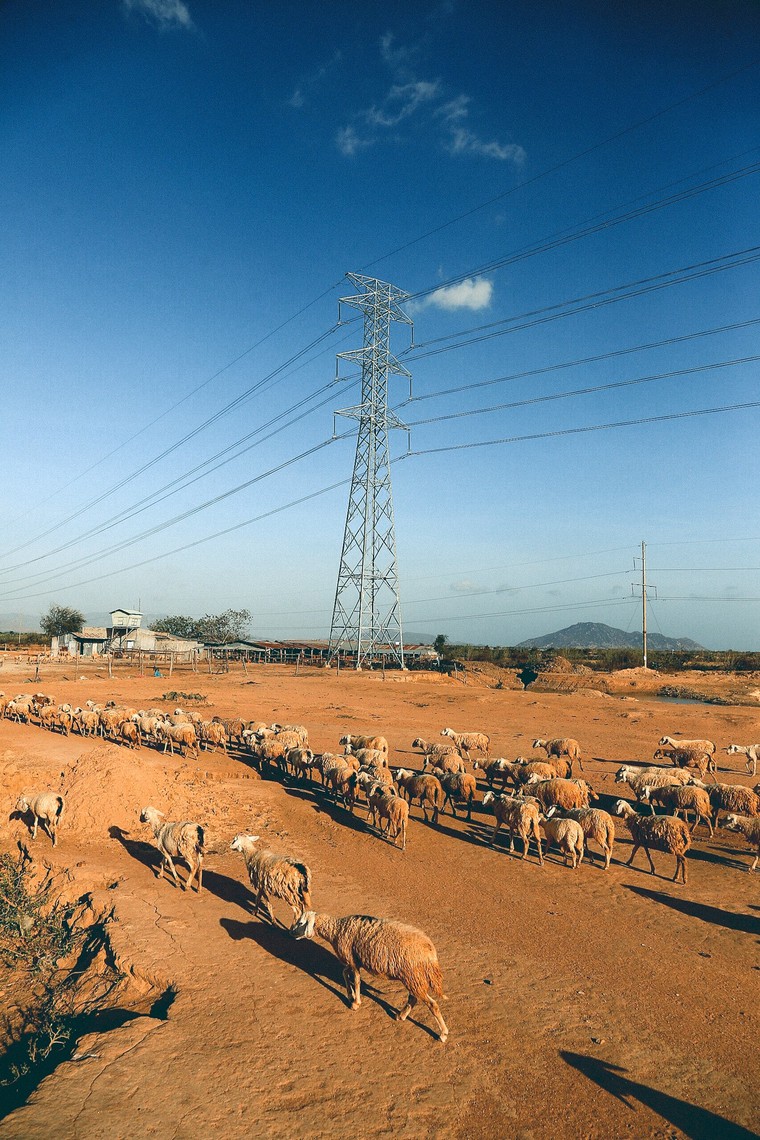 Đẳng cấp tiện ích quy mô lớn tại ApartHotel chuẩn 5 sao quốc tế ảnh 2