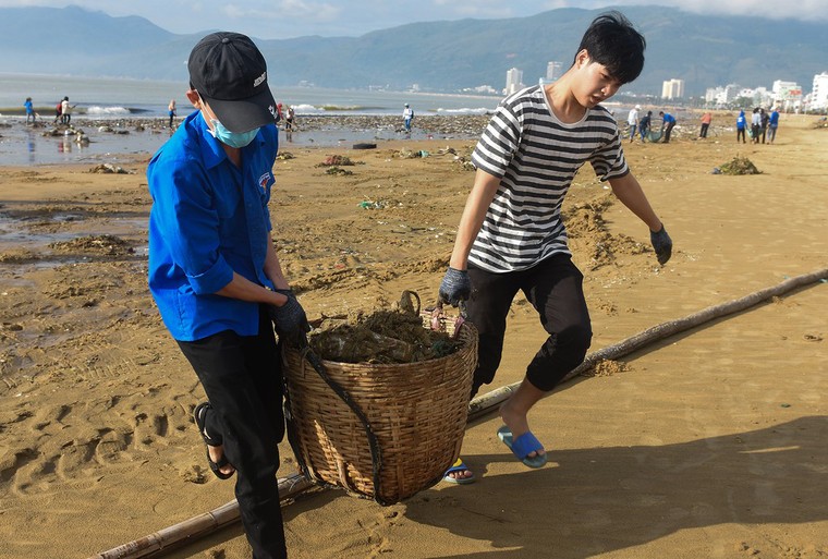 Bờ biển Quy Nhơn ngập rác sau bão số 5 ảnh 13
