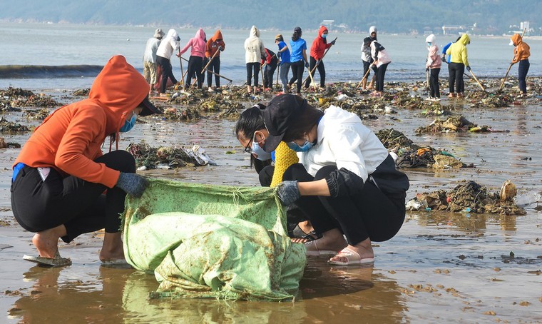 Bờ biển Quy Nhơn ngập rác sau bão số 5 ảnh 8