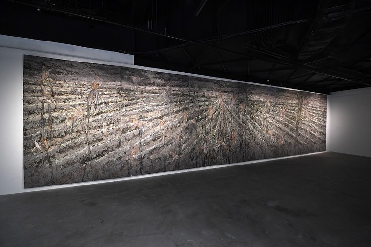 VCCA tổ chức triển lãm ‘Ươm’: Hành trình vượt ra khỏi lý thuyết ảnh 1