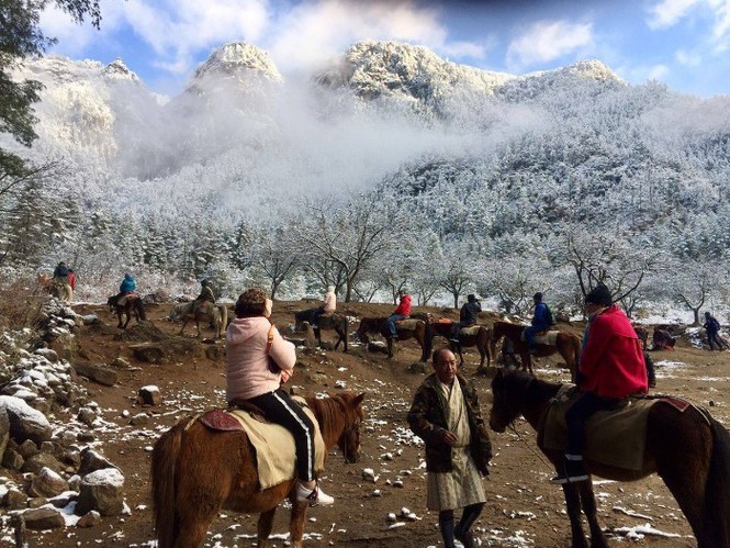 Ở Bhutan người dân bị cấm giết mổ động vật nên họ nhập thực phẩm chính từ nước nào?