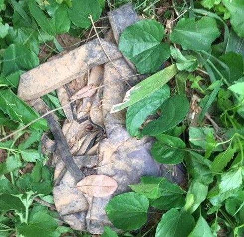 Đã xác định được danh tính của thi thể không đầu trong vườn điều ở Bình Phước ảnh 1