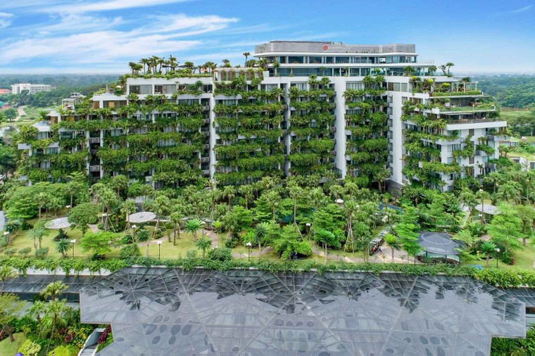 Hoa hồng trên ngực trái: Khuê quay lại với Thái sau khi đi nghỉ dưỡng? ảnh 3