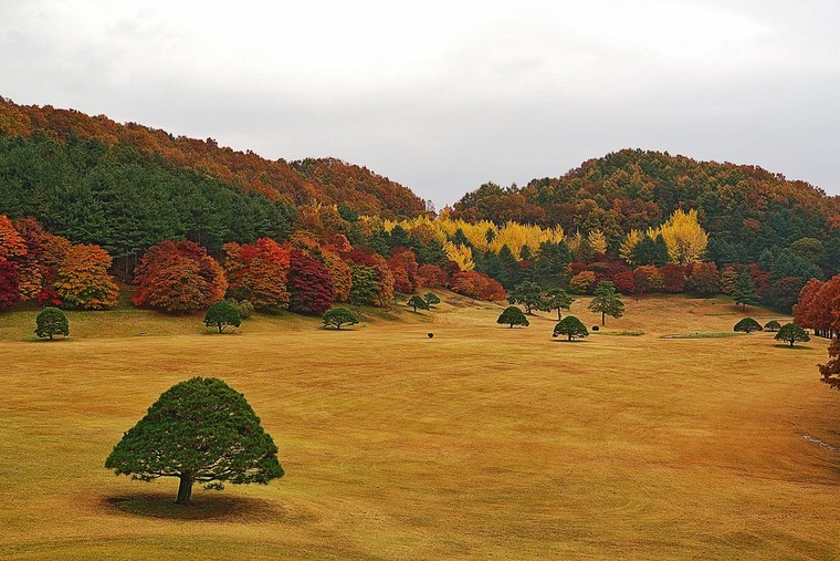 Hành trình khám phá lịch sử Cheongju - Hàn Quốc: 3 địa điểm không thể bỏ qua ảnh 4