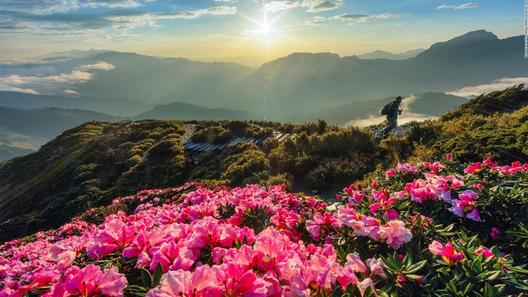 Tiếp tục ưu đãi visa cho công dân Việt, du lịch Đài Loan hưởng lợi ảnh 2