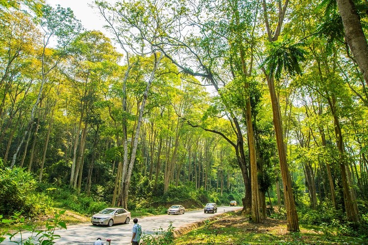 3 ngày khám phá trọn vẹn vẻ đẹp 'rừng cao – biển sâu' xứ Nghệ ảnh 5