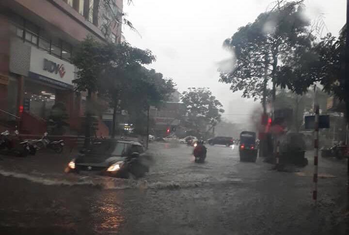 Hà Nội mưa như trút nước, cây lớn bật gốc đè bẹp ô tô ảnh 1