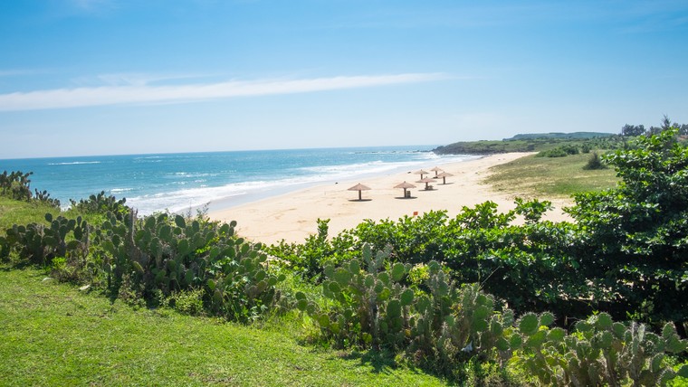 Những điểm đến an toàn đang chăm sóc du khách như thế nào? ảnh 1