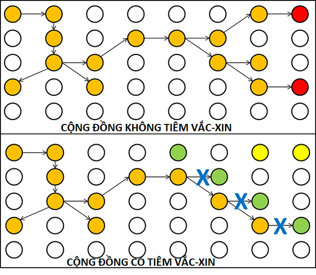 Có đến 100.000 người chết nếu dựa vào 'miễn dịch cộng đồng' chống Covid-19 ảnh 2
