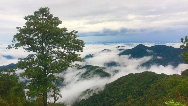 Dãy núi nào dài nhất Việt Nam?