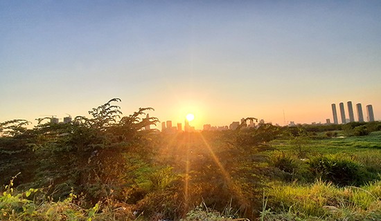 Cất tạm niềm vui riêng ảnh 2