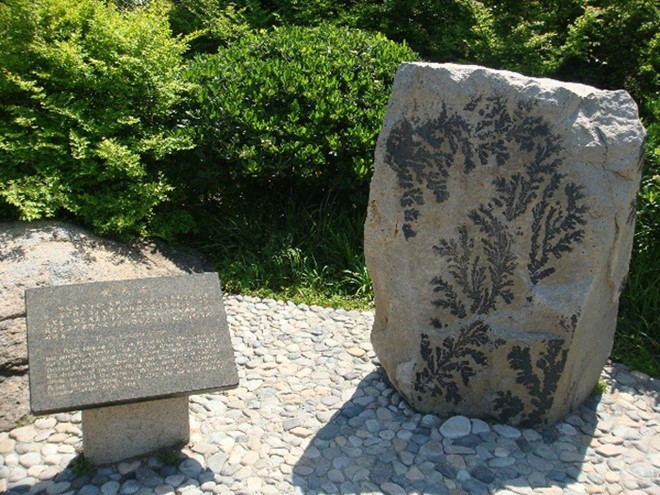 Vì sao lại gọi là đảo Đào Hoa?