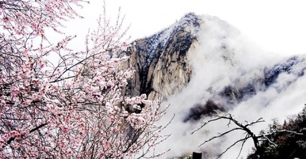 Đảo Đào Hoa có diện tích khoảng...?