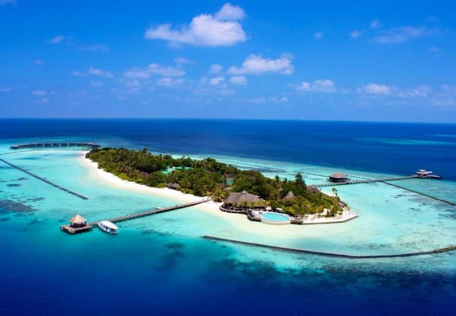 Luật pháp Maldives cấm tiêu thụ loại thịt động vật nào?