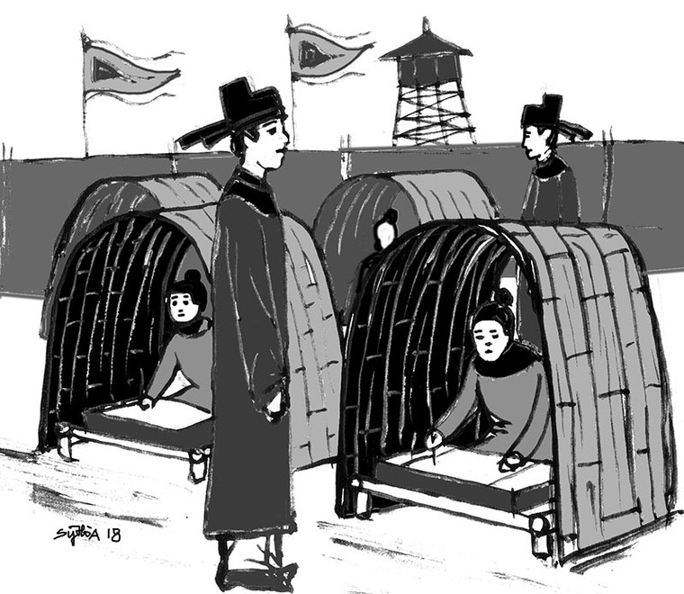 Nguyễn Bỉnh Khiêm đỗ trạng nguyên khi bao nhiêu tuổi?