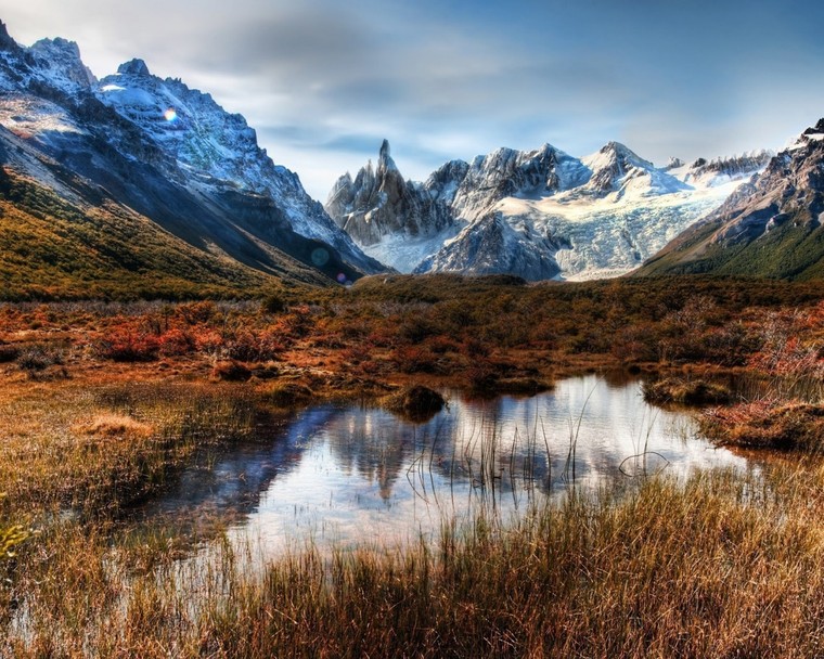 Loài động vật nào chiếm số đông ở Andes?